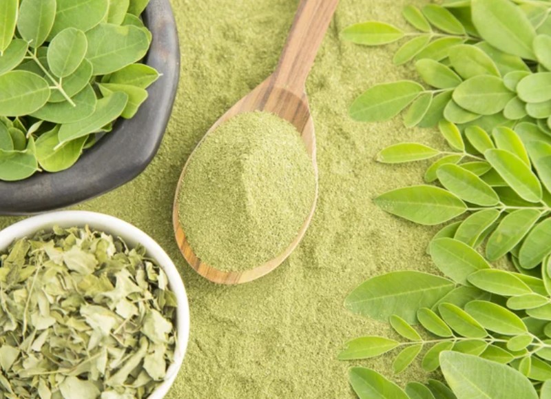 moringa abundant in micronutrients